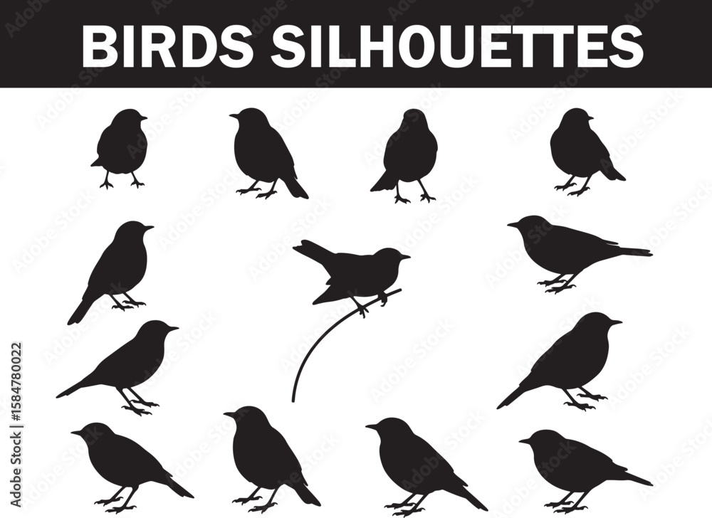 Obraz premium Bird silhouettes vector collection featuring common species in various poses, ideal for nature-themed designs, avian illustrations, and wildlife-inspired creative projects