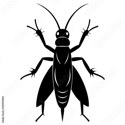 Discover the intricate details of a dark stonefly resting in its natural habitat, a fascinating glimpse into the world of these ancient insects, silhouette