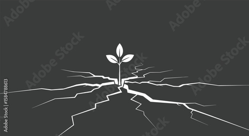 A small plant growing through a cracked surface symbolizing resilience and hope in difficult times