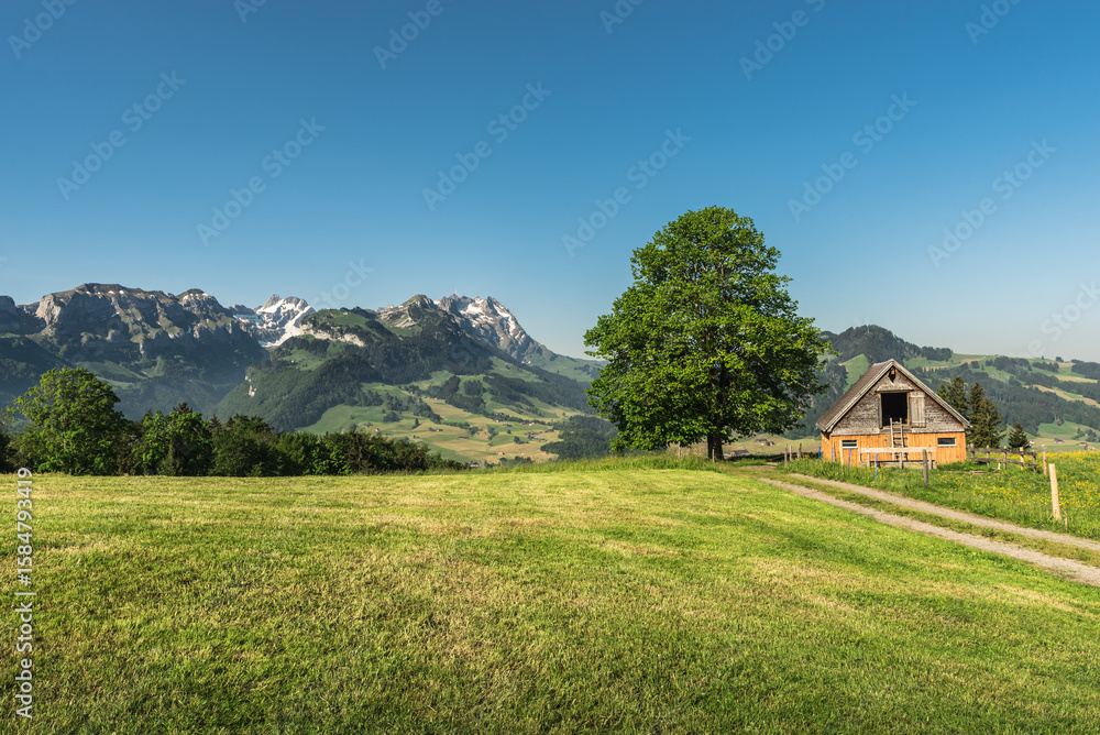 Obraz premium Rustic wooden hut in the rural region of Appenzellerland, with scenic views of the Alpstein mountain range and Saentis peak, Canton Appenzell Innerrhoden, Switzerland