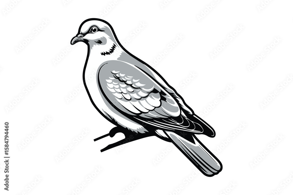 Obraz premium Dove silhouette vector.dove icon.Beautiful bird silhouette vector