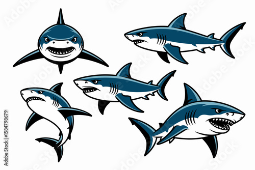Five cartoon sharks are depicted from various angles, including front, side, and angled views, showcasing their sharp teeth and streamlined bodies.