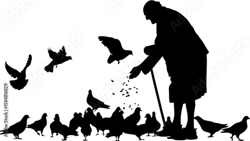 Silhouette of an old woman feeding a flock of pigeons in a park with some birds flying around her feet
