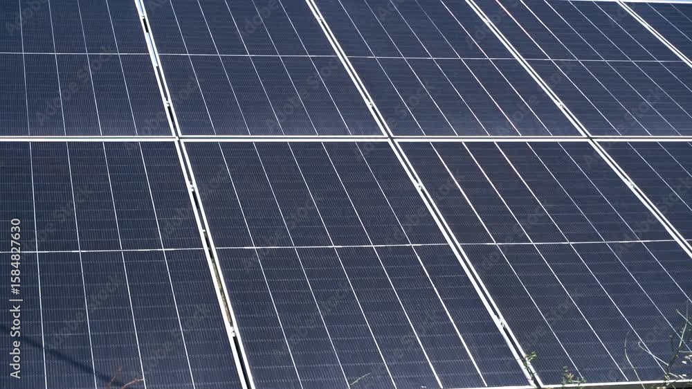 Solar Panels in Summer. Clean Renewable Energy Solar Panels in Summer. Clean Renewable Energy