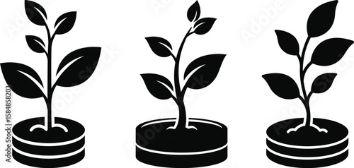 Three stylized saplings growing from stacked coins, illustrating growth and investment.