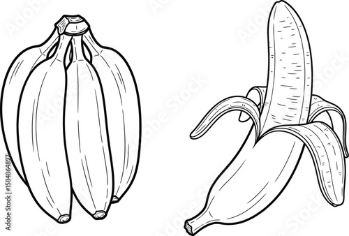 Line drawing of a bunch of bananas and a single peeled banana.