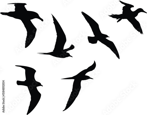Group of birds flying together vector silhouette design. Birds flock silhouette vector.