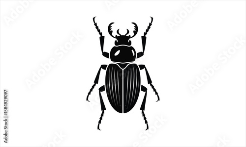Stylized beetle insect graphic silhouette