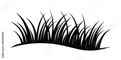 grass silhouette vector