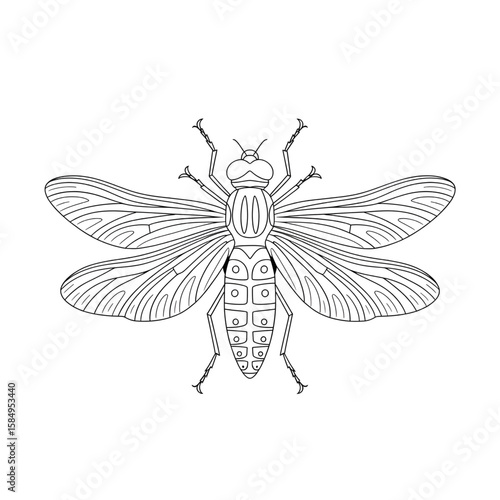 greenfly illustration vector style colouring page