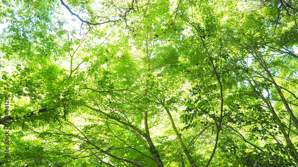 Obraz premium OLYMPUS DIGITAL CAMERA