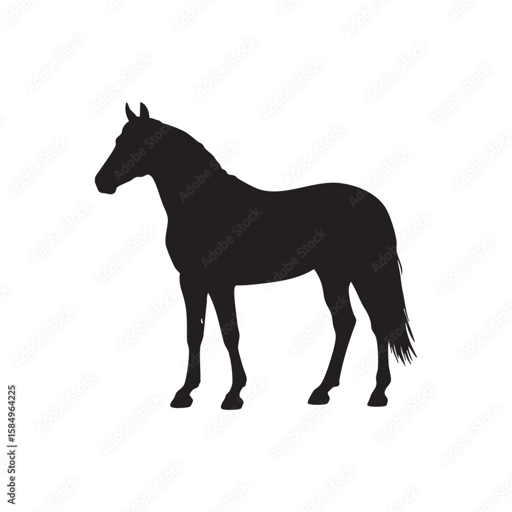 Fototapeta premium Black horse silhouette standing gracefully isolated on white background