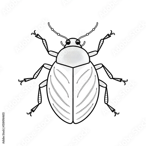 Bed bug illustration vector style coloring page 