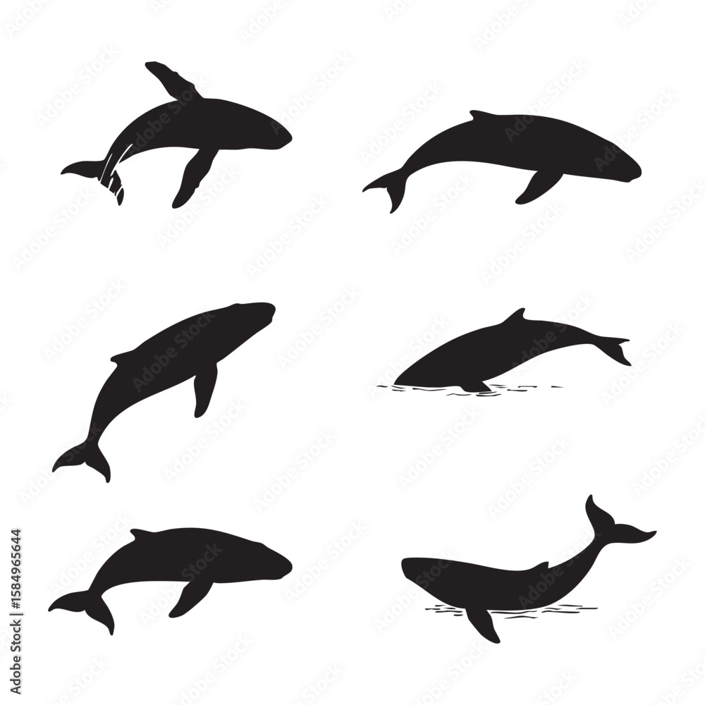 Fototapeta Collection of six black whale and dolphin silhouettes isolated on white background silhouette
