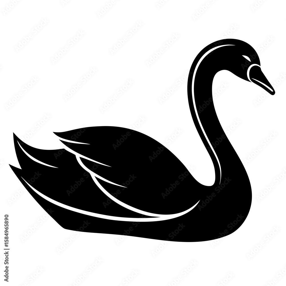 Obraz premium black swan vector illustration