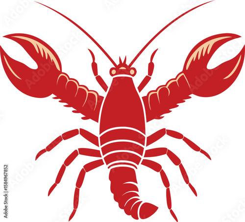crayfish vector illustration