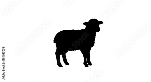 Silhouette of a lone sheep against an opaque background.