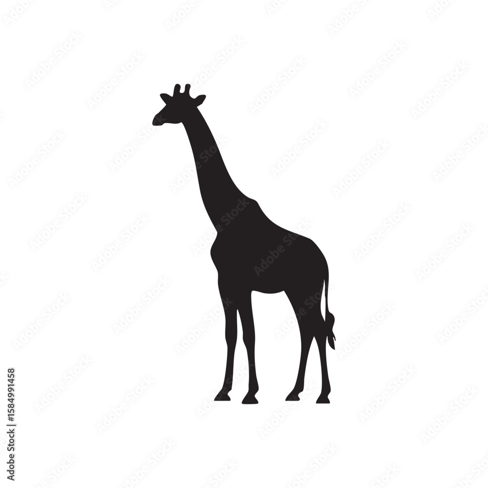 Fototapeta premium A striking black silhouette of a giraffe standing tall isolated on white background silhouette