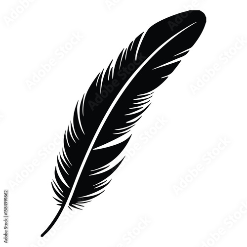 Elegant Feather Quill Black and White Line Art Illustration