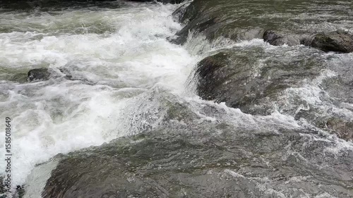 Clear and clean river water splashes swiftly between the rocks. The fast flow of river water. The splash of river water creates a peaceful atmosphere. The surface of the river water is clear.