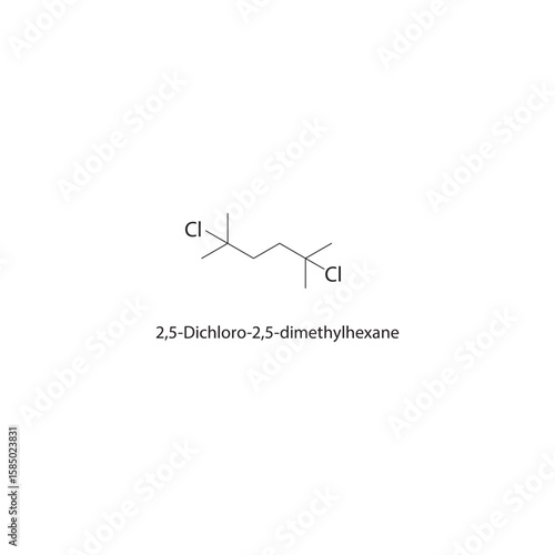 2,5-Dichloro-2,5-dimethylhexane skeletal structure. halogen alkane compound schematic illustration. Simple diagram, chemical formula.