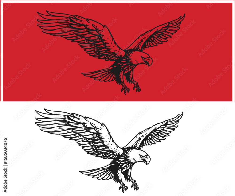 Obraz premium Detailed Eagle Illustration in Flight with Red and White Background Variations