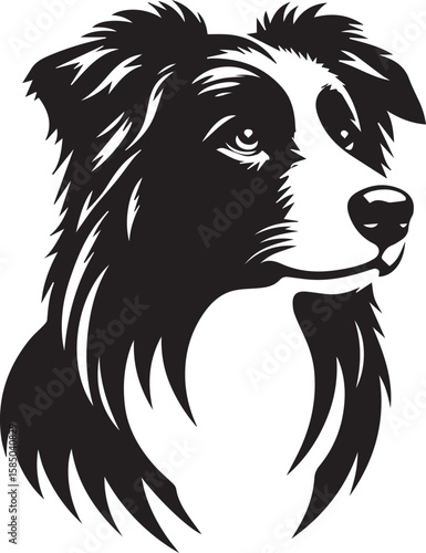 Wallpaper Mural Border Collie Dog Vector – Silhouette  Torontodigital.ca