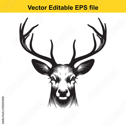 A detailed black and white portrait of a deers head