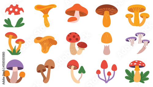 A vibrant vector set of diverse mushrooms, featuring red amanita and other fungi with leaves and grass, perfect for nature and food illustrations