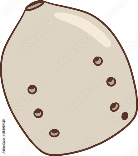 Photography Hun korean music instrument clipart