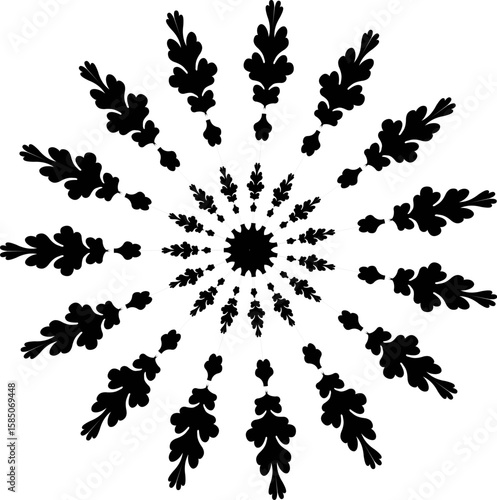 A beautiful set of floral silhouettes, including black vector illustrations of flowers, leaves, and butterfly ornaments for decoration