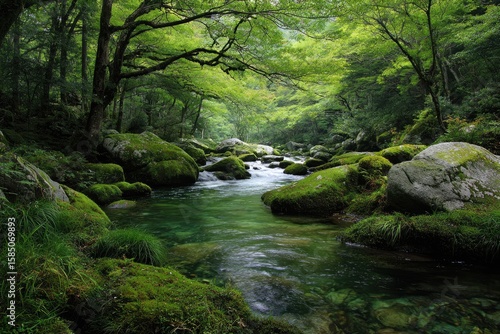 Serene forest stream, moss-covered rocks, lush green foliage, tranquil water flowing gently between boulders