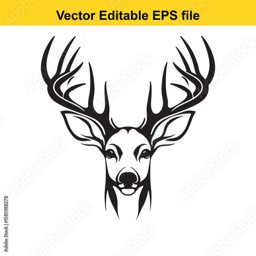 A deers head with impressive antlers in a front view