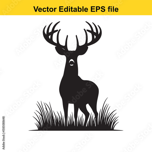 A proud stag with large antlers stands in grass