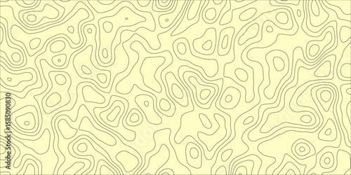 A Network of Soft Boundaries Within a Shapeless Field

