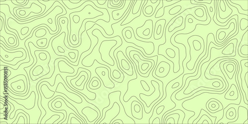 A Network of Soft Boundaries Within a Shapeless Field

