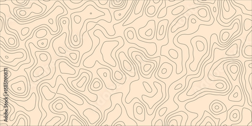 The Illusion of Landscape Created by Flowing Abstraction

