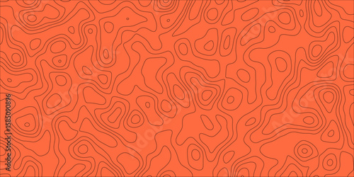 A Visual Translation of Stillness Into Line and Pattern

