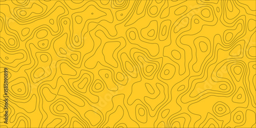 A Visual Translation of Stillness Into Line and Pattern

