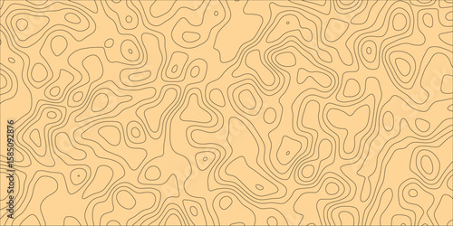 A Rhythmic Exploration of Imaginary Geometric Forms

