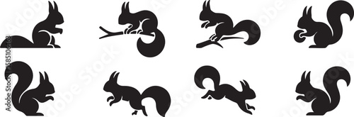 Squirrels in various poses on branches and ground rodent animal vector, isolated on white background, cutout, png, clipping path, transparent, image, download, 2025,2026 download