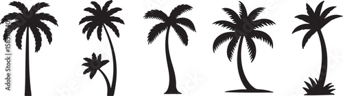 Tropical palm trees silhouettes against a white background black vector, isolated on white background, cutout, png, clipping path, transparent, image, download, 2025,2026 download