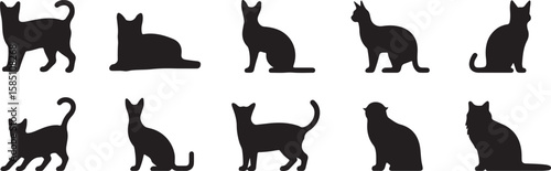 Various Feline Silhouettes in Different Poses black white vector, isolated on white background, cutout, png, clipping path, transparent, image, download, 2025,2026 download