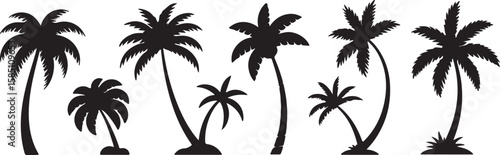 Various palm trees in silhouette black white silhouette, vector, isolated on white background, cutout, png, clipping path, transparent, image, download, 2025,2026 download