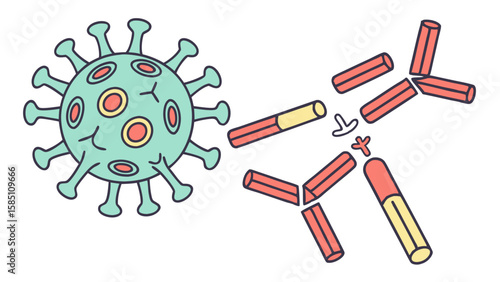 Scientific illustration of an antibody binding to a coronavirus, demonstrating the immune system's response to infection.