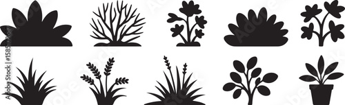 Various stylized plant silhouettes including leafy bushes flowering plants and potted greenery silhouette, vector, isolated on white background, cutout, png, clipping path, transparent, image, downloa