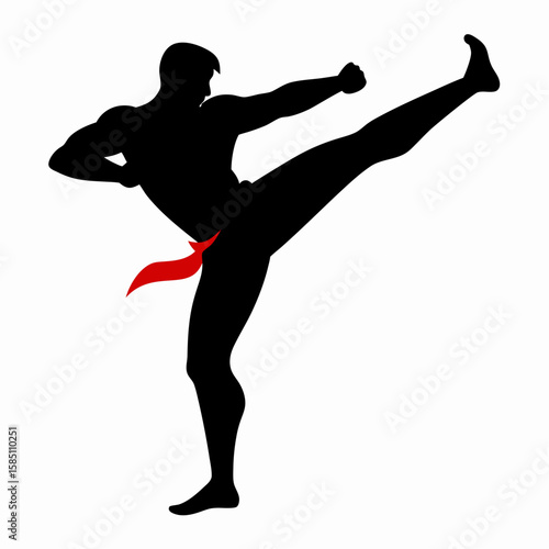 Silhouette of a martial artist performing a high kick isolated on white background