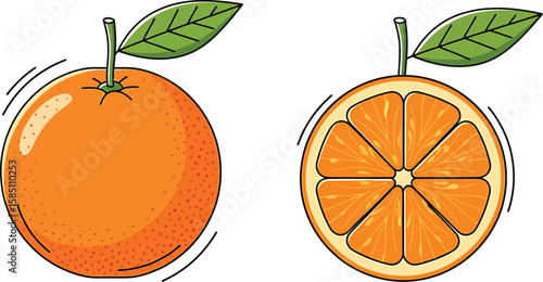 Whole and halved orange illustrations, vibrant citrus fruit, detailed line art, fresh and juicy.