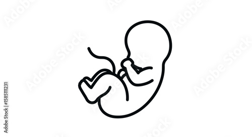 Minimalist outline of human fetus in simple line art style
