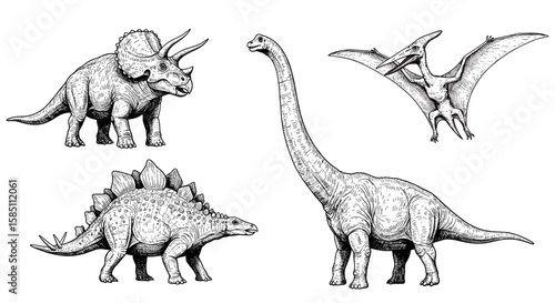 Hand-drawn dinosaurs collection featuring triceratops, pterodactyl, stegosaurus, and brachiosaurus